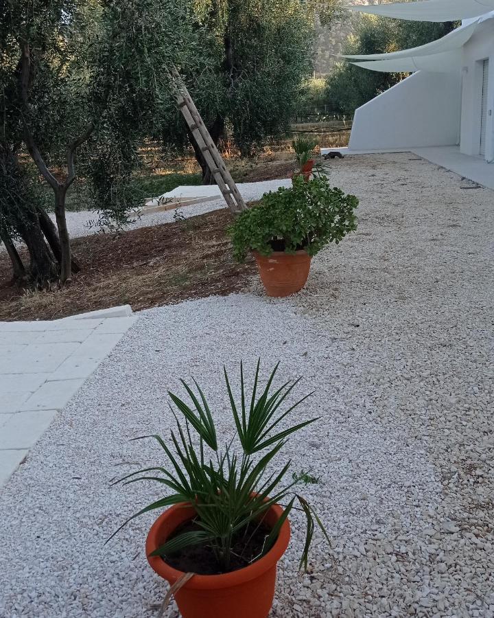 Dimora Basso Mattinata Kültér fotó